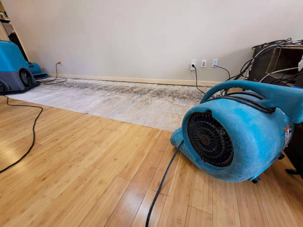 Professional Flood Damage Cleanup technician working in Evansville, WI